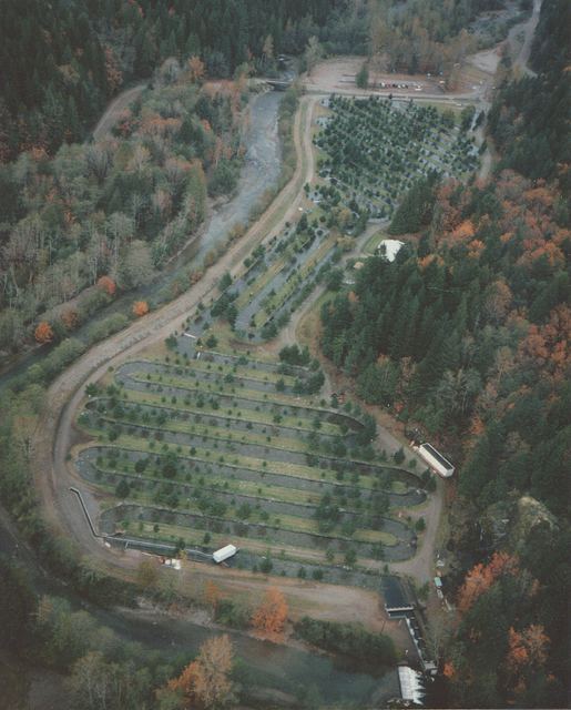 Weaver Creek Spawning Channel, Canada