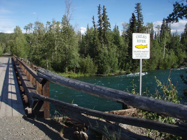 Chilko River for sockeye smolt tagging